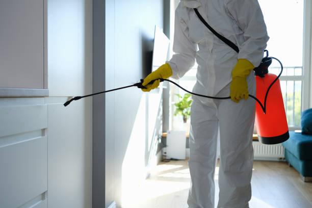 Why You Should Choose Our Mold Remediation Services in Inverness, FL